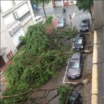 <b>주차</b> <b>라인</b>에 <b>주차</b>해야하는 이유