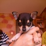 ★☆★☆★루이<b>비동</b>의 진실 2탄!!★☆★☆★(19)(+ㄱㅅㄷㅊ)