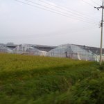 볼라벤의피해금액거부(★눌러주세요ㅠ.ㅠ★)