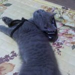 <b>러블</b>계의 얼짱 고열무♥.♥