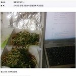 미댓님 그리워서 내가 쓰는 웃긴사진 4