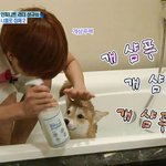 이제 여기도 <b>빠</b><b>순</b>톡