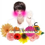 <b>배너</b>신청받아요 (텔파) 메일로 보내드림