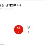 기자에게 관심바라는 '관심<b>종자</b>' 발견… 화제.