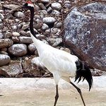 하악..하아아,....하<b>아악</b>....하아,...아..하....학