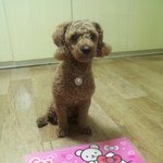 ★☆최해리 생일<b>추카</b>한다[스케치북편지]☆★
