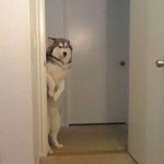 2012 하반기 대졸 공채의 모든 것! (<b>GS</b>칼텍스)