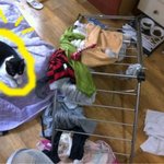 미댓님 그리워서 내가 쓰는 웃긴사진 6