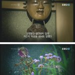 지식<b>채널</b><b>e</b> 무연사회