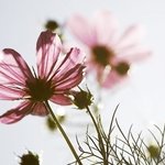 이거보고 30<b>자이</b>내로 감상평써라
