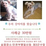 ★★인천<b>부평</b>일신동이나,근처동네에사시는분봐주세요