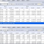 전업주식투자자의 삶