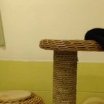 얘네덜 왤케 겹냐 >ㅁ< (영상<b>주소</b>첨부)