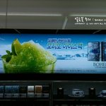 <b>보헴</b>시가 모히또 아이스팩 얼음꽃패키지 한정판 나왔데요