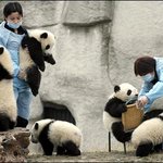 삶의 <b>의욕</b>이 없는 미련한 곰탱이 모음