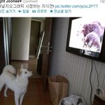 잠깐만 퇴톡할<b>라다</b>가 갑자기 이분이생각나서 돌아옴