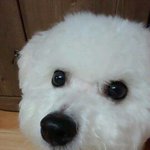 내 친구가 <b>도</b>를 아십니까에서 벗어나는 방법