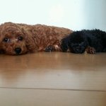 <b>모카</b>라떼!!!!