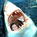 (사진ㅇ)중국 <b>허세</b>녀의 뒤를 잇는 <b>허세</b>남