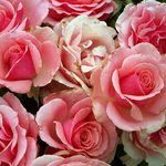 ■사랑에늘실패하는사람특징, 나쁜사랑 떼어내기■