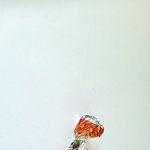 크라운<b>땅콩</b>캬라멜을 쭉 즐기기는 무슨!