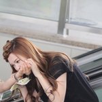 <b>시카</b>얌 오징어들 물어!