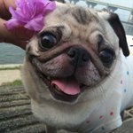 ☆★☆★☆나는 춘자다.☆★☆★☆