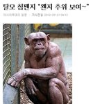 웃고싶어 직접올리는 웃긴댓글,<b>만화</b>,공감 3