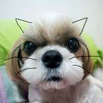 [혐오&amp;스압] 우리 <b>토토</b>를 소개합니다~♥ + 수정