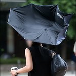 재난에도 굴복하지않는 한국여자