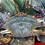 김<b>배팅</b>이 추천하는 게임(사진有)