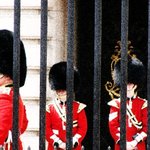 <b>Hello</b>^^ 버킹검궁전 근위병들의 이모저모