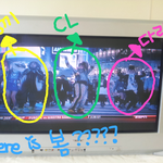 <b>2ne1</b>!! 퉤니원 언니들 미쿡 광고에서 포착!!!