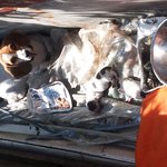 개구쟁이 하비의 성장기(사진 有재석, 스압주의)