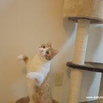 유봉이 앙즈의 일요일보내기