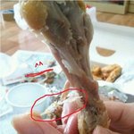 ★(사진有) 오늘치킨먹다가 신기한게나옴 ㅡㅡ