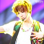 태민, <b>종현</b> 짤 털이 2차