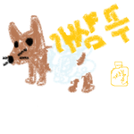 개<b>샴푸</b>꺼 다만듬