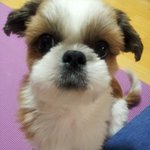 (기욤보장)♥♥♥일단 들어와 <b>보시</b>개♥♥♥