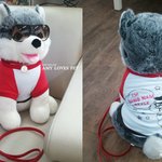 사무실 <b>방문</b>한 브라우니쨔응