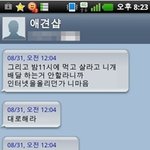 다녀오니 개 젖꼭지가 잘렸는데 세상에… “인터넷에 올려봐!” <b>도발</b>