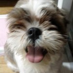 안녕하세요 저는 콩이라고합니다ㅎㅡㅎ(2탄)