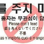 원래 어그로는 무관심이어야 재미가 뚝!