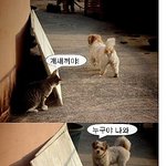 ★★개 <b>xx</b> 빡침★★★