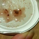 유명 베이커리 쨈에서 구더기가......