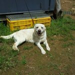 우리아이좀찾아주세요..※공개<b>수사</b>※