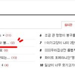무섭지않아요!! 3탄 불독과시츄이야기ㅋ