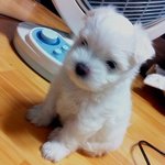 그래요. 이 애기가 제 애기입니다.