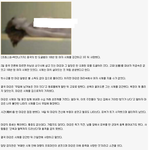 중국에서 엽기행각벌인 남자