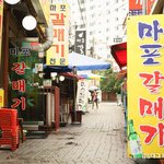 <b>마포</b> 도화동 갈매기 골목에 향긋한 냄새가 궁금하신가요?